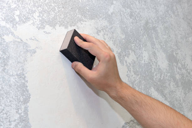 Best Commercial Mold Inspection  in Coolidge, AZ