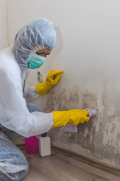 Best Forensic Mold Investigation  in Coolidge, AZ