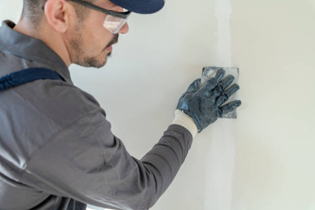 Best Post-Construction Mold Inspection  in Coolidge, AZ